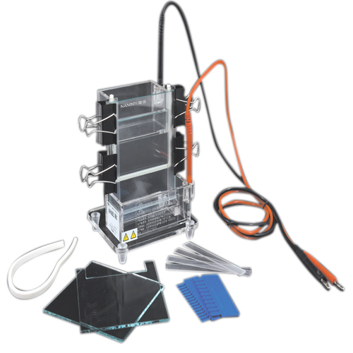 DYCZ-23A Electrophoresis Cell