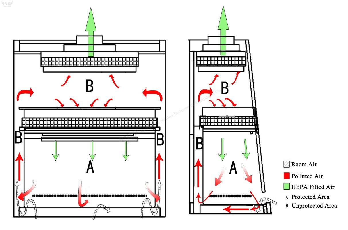 Biological safety cabinet